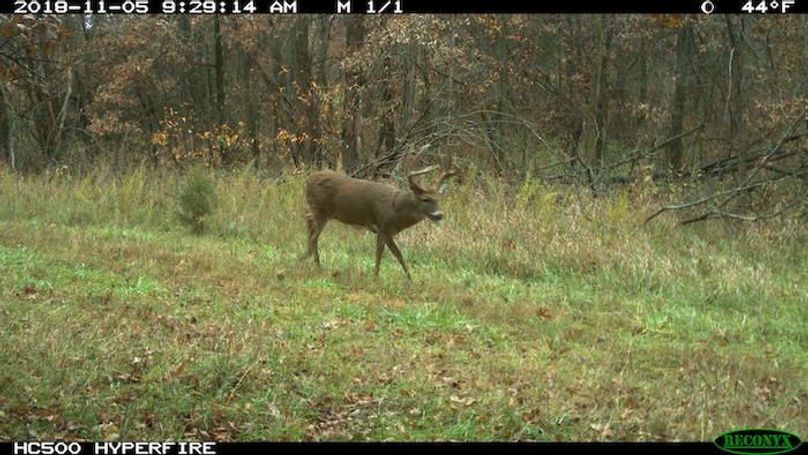 2018-11-05 09-29-14 M 1_1