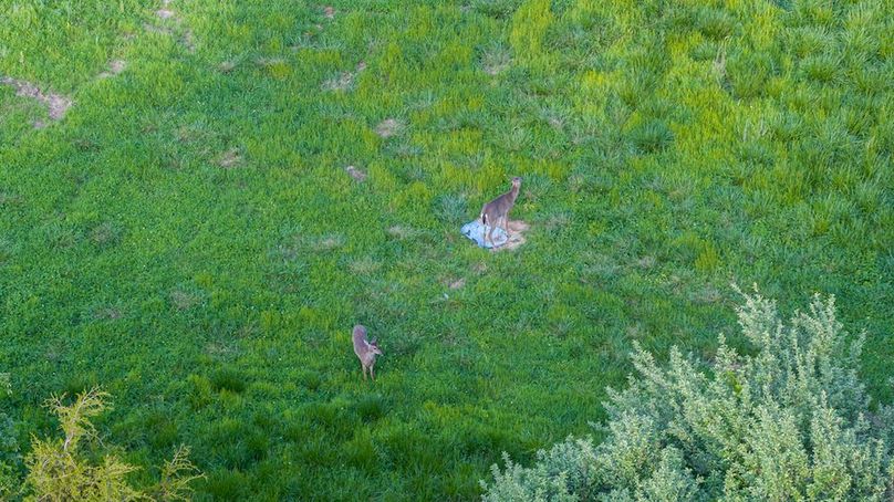 DJI_20260426181902_0009_D