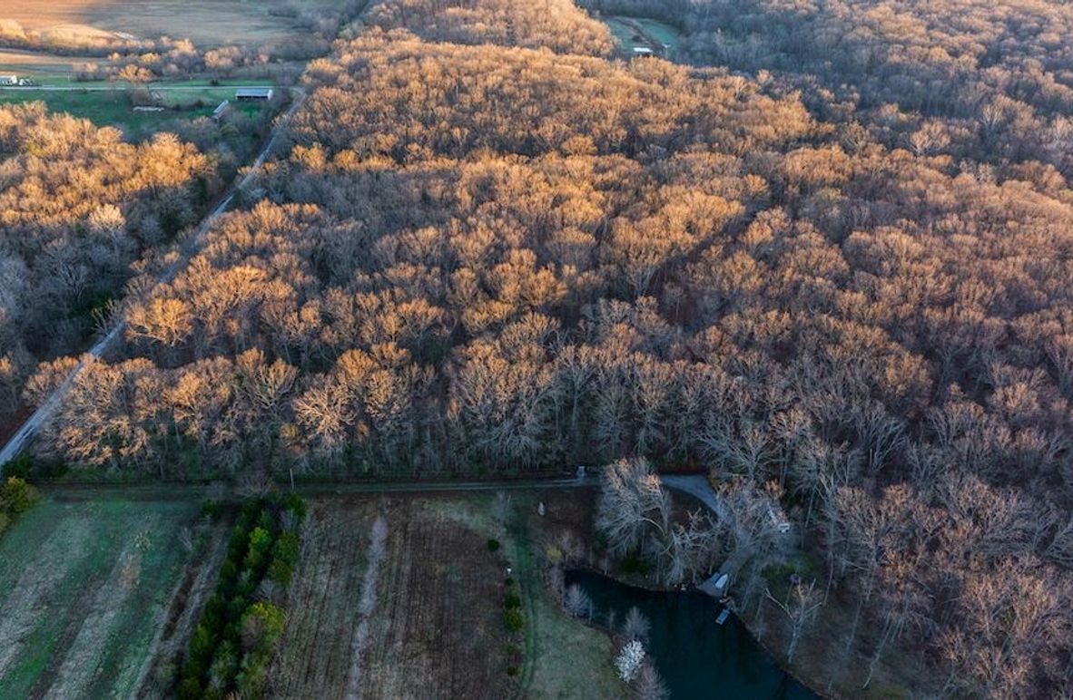 DJI_20250324064048_0001_D