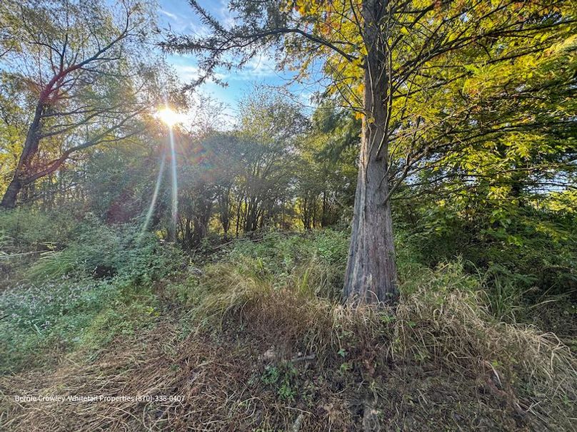 DeSoto 109 Prewett -7