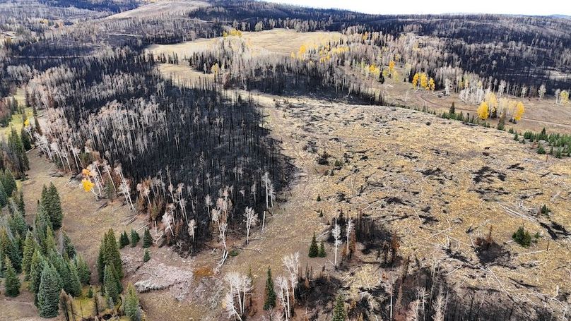 DJI_20250927084514_0078_D