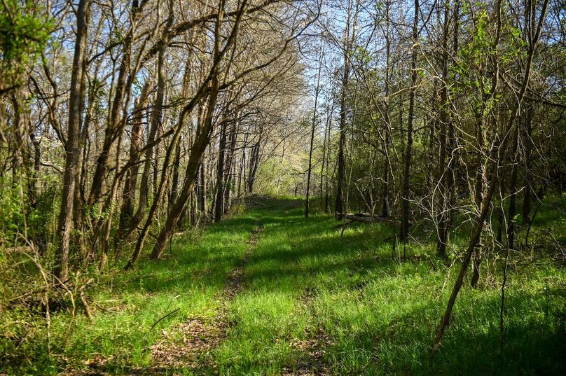 vandalia 450 (2)-2462