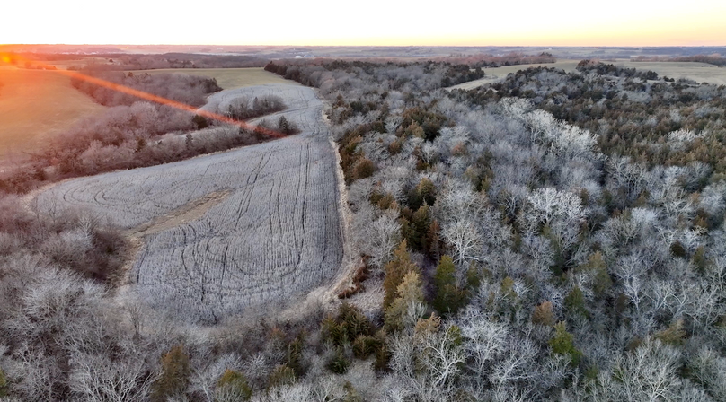 Screenshot 2026-01-06 at 8.19.48 PM