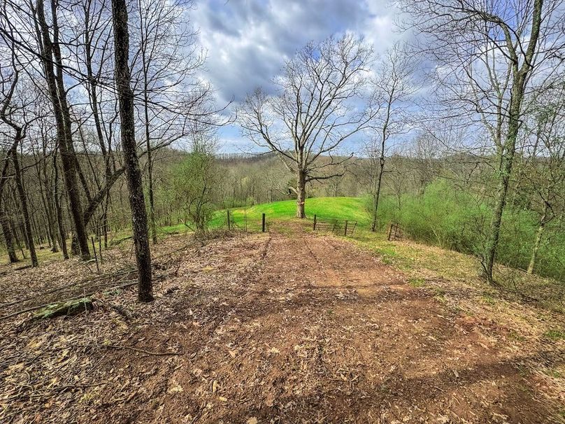 Ritchie, WV 206.08 AC Curriden-54