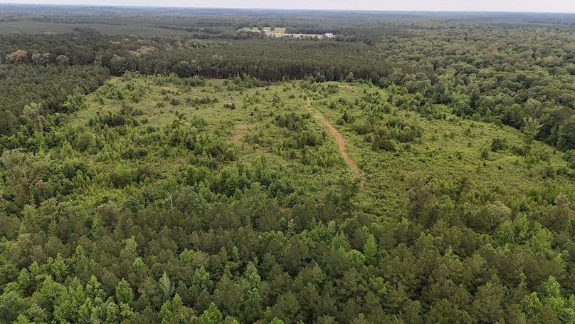 Copy of DJI_20250529045104_0515_D