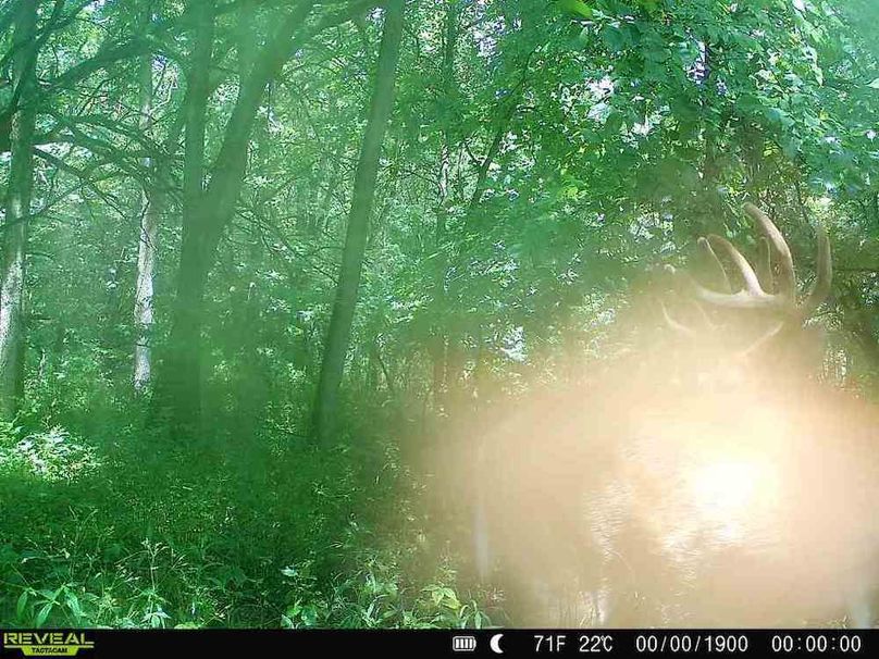 860516067640098-90-3-07302025121758-W1012612