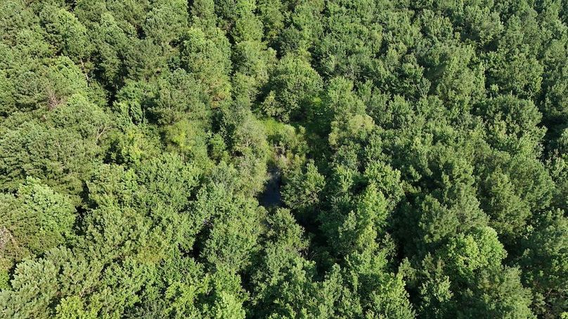 DJI_20250627094813_0095_D