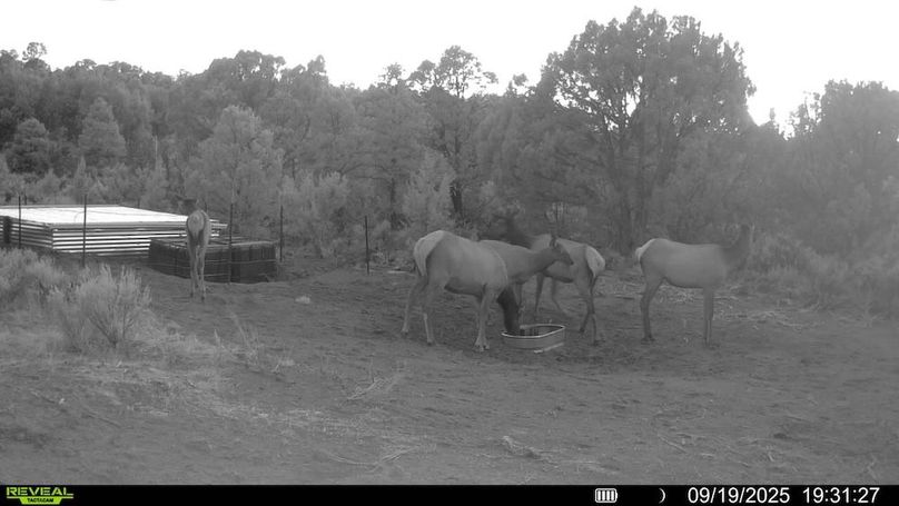 016578004060205-100-3-09192025193127-V-SYFW00145