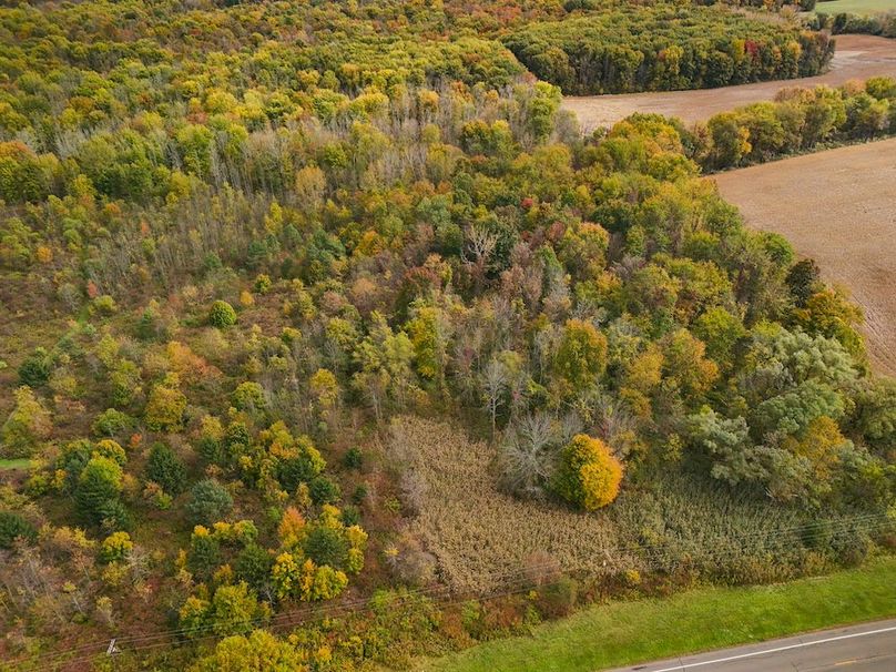 Wayne_29.09_BD_LandParcel_11