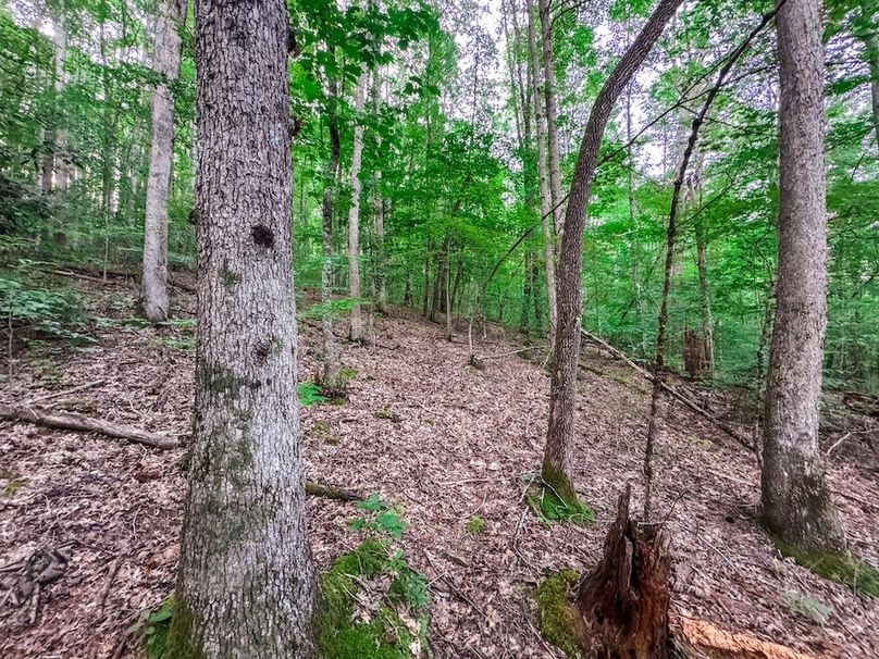 Webster, WV 42 AC Barger-14