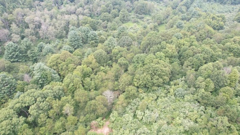 dji_fly_20250806_140718_582_1754530422179_photo