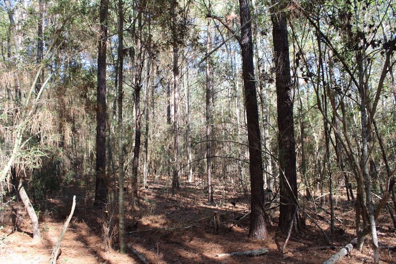 C7C8CA49-027A-4CAB-B608-7FDCB6A2E5BE_1_105_c