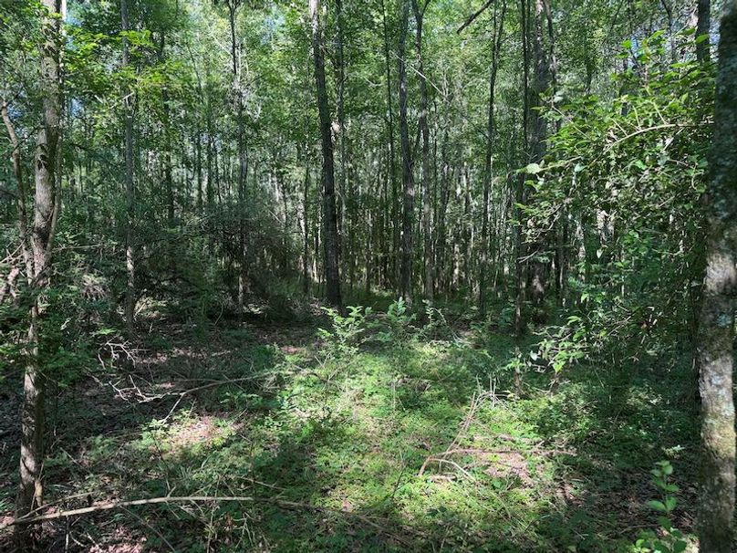 3D48AC7C-8864-4188-9F9C-8111CF3D74F0