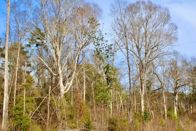 344176EA-07B9-4638-A25C-613C3C7A9C83_1_201_a