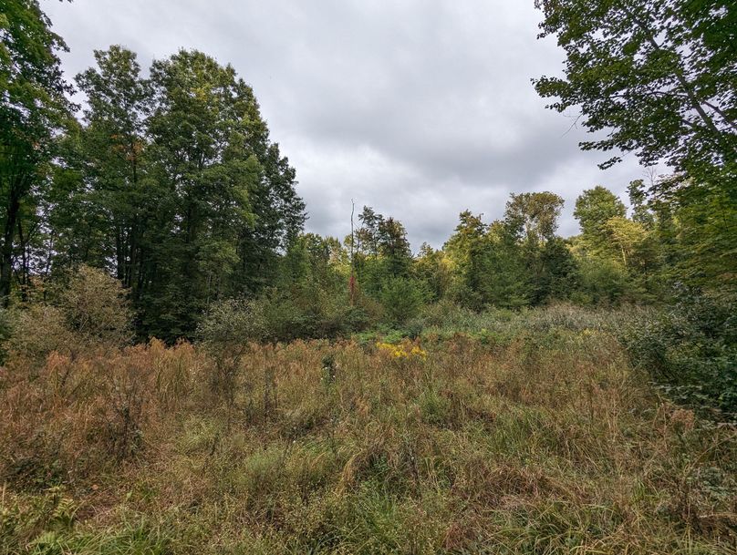 PXL_20230925_223825105