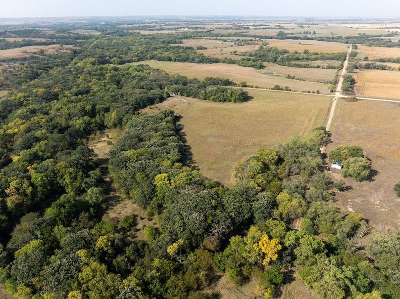 20240913-DJI_20240913104643_0093_D (1)