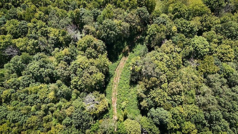 Tioga NY 64 Shores 22