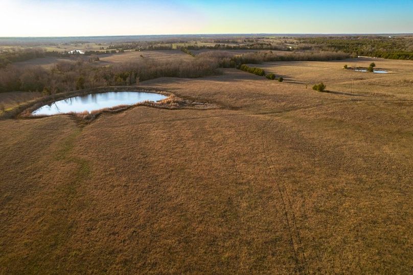 Lamar County 76.5 acres (6 of 23)