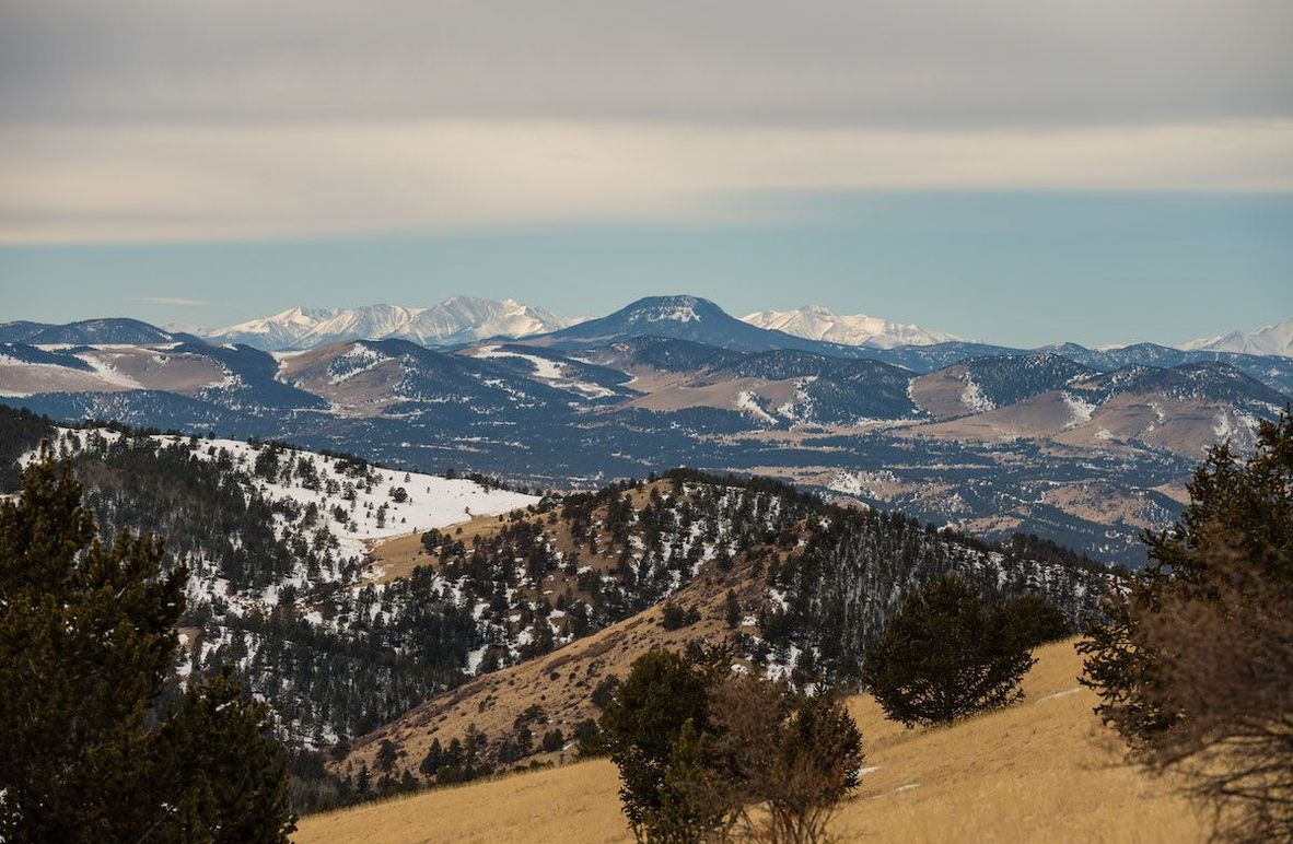 Teller Co 20.288 Bugbee - 05 Mountain View