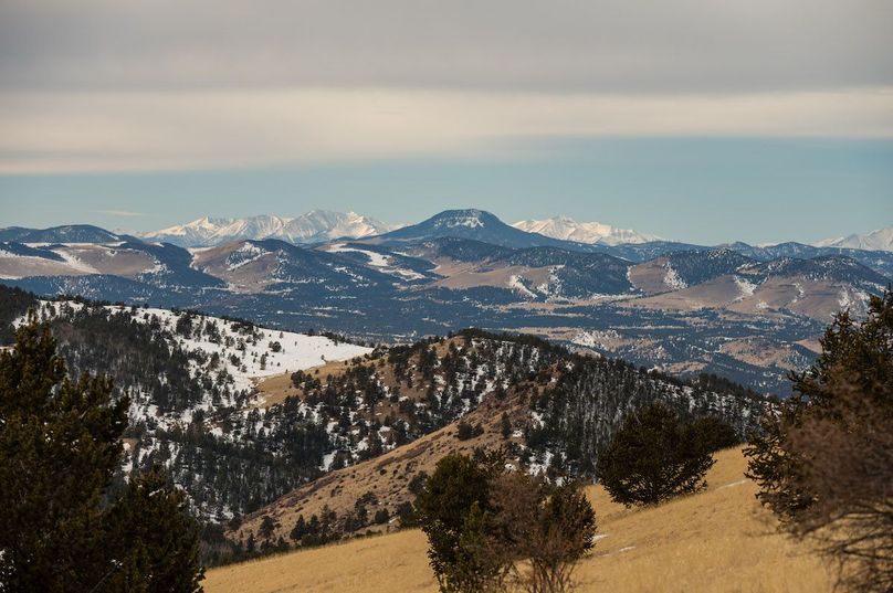 Teller Co 20.288 Bugbee - 05 Mountain View