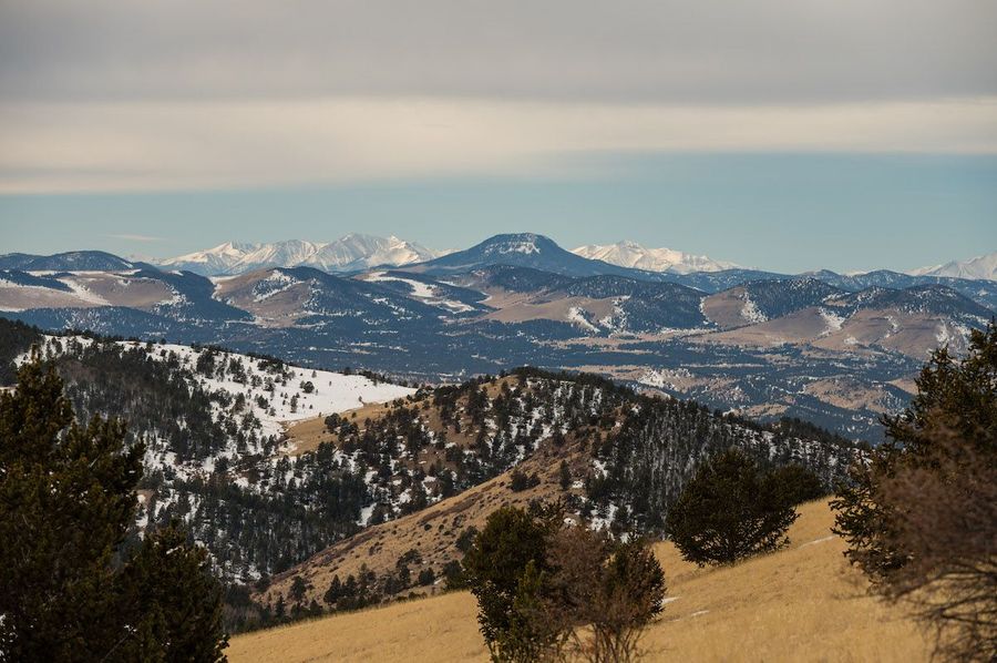 Teller Co 20.288 Bugbee - 05 Mountain View