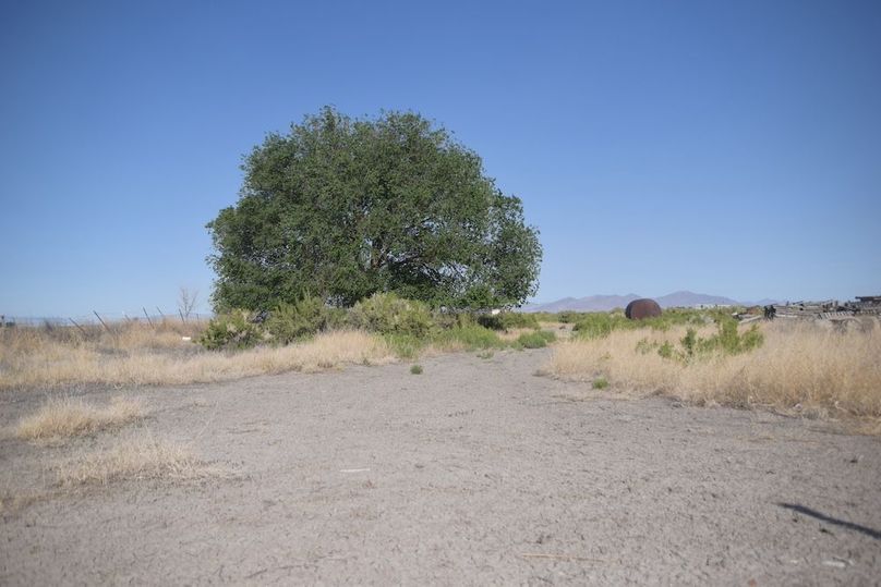 Copy of Copy of DSC_0102