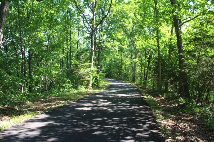 026 Patsey Road along the west boundary of the property