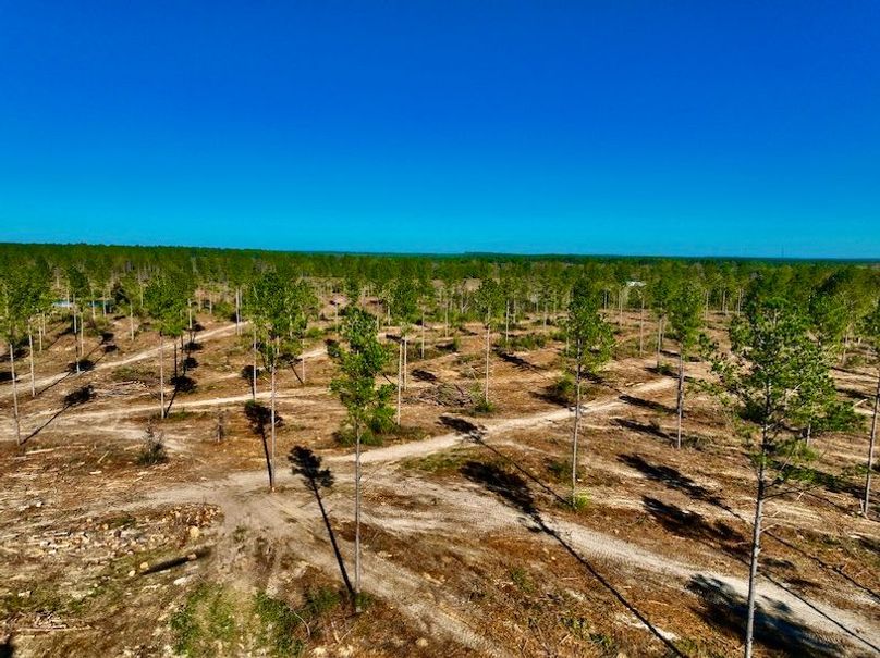 101343F2-B7F4-4DB4-BACB-C9552E876A4B_1_201_a