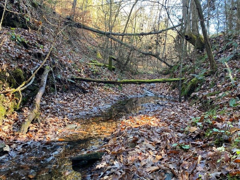 007 the seasonal creek flowing downstream