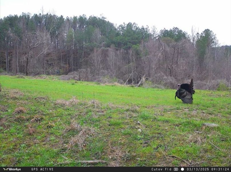 TwinStatesTrailCam18