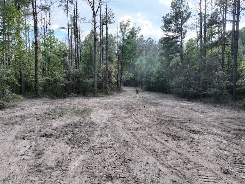 dji_fly_20251001_160252_0647_1759492680349_photo