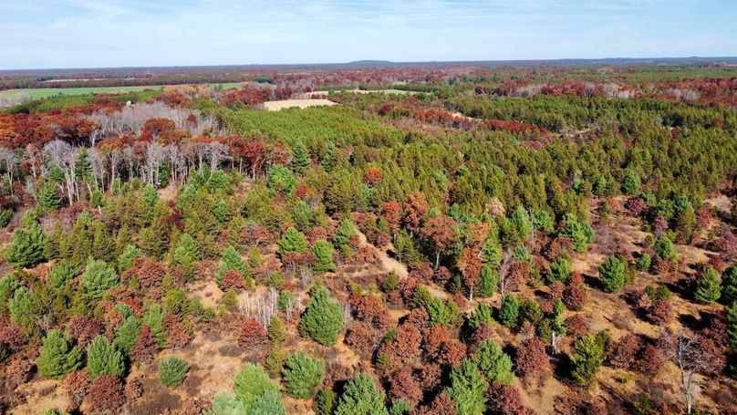 dji_fly_20241024_130324_490_1730406266483_photo_optimized