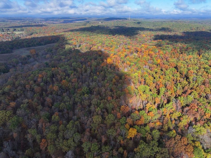 DJI_20251102094231_0814_D