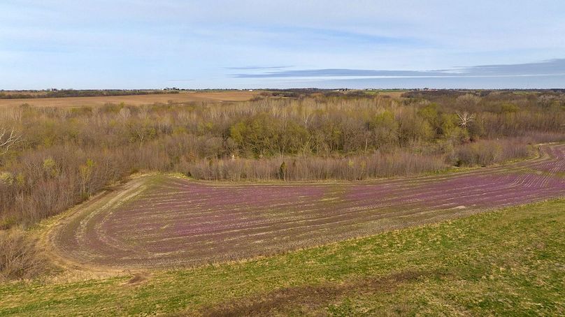 DJI_20250331091213_0650_D