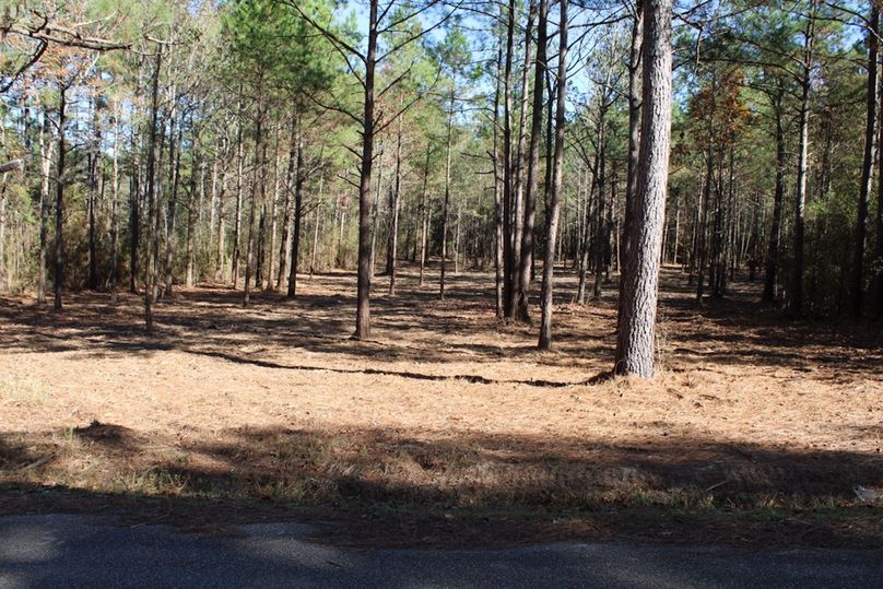 41AA13FA-E54E-47BA-B866-A20B493F1E5B_1_105_c