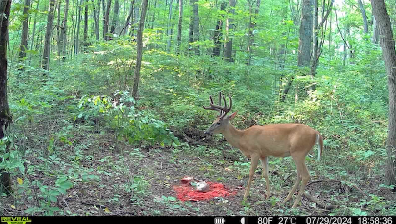 0F80FA00-C1A7-4FE2-BF5C-261CE1AE691C