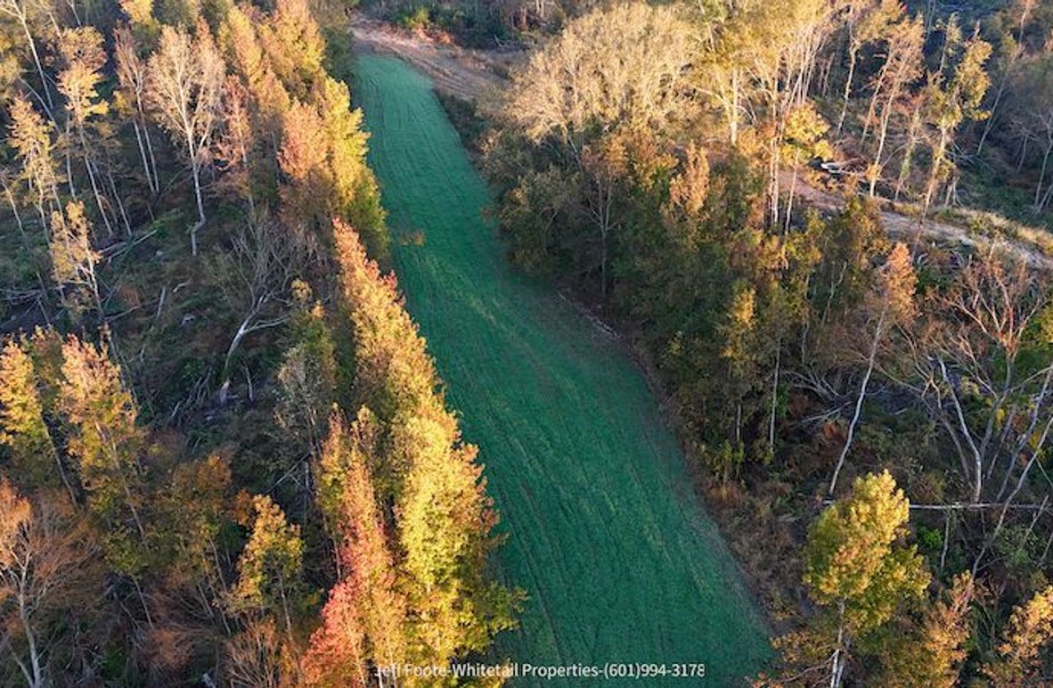 Claiborne Co-189-Geronimo-02