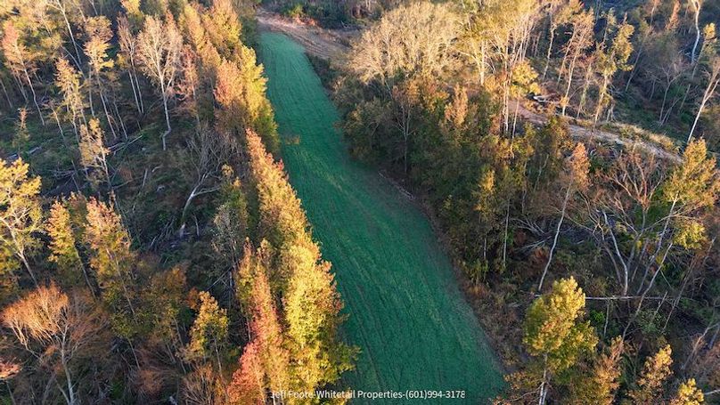 Claiborne Co-189-Geronimo-02