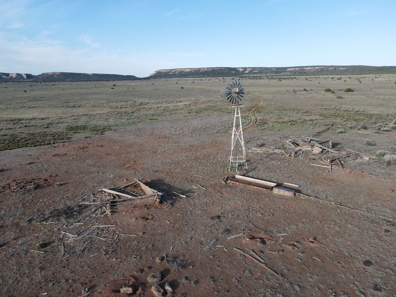 dji_fly_20240504_074426_323_1714830331021_photo