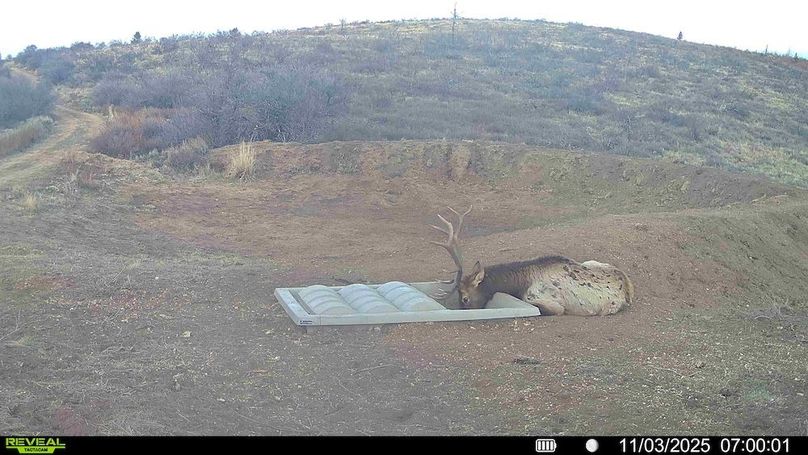 016578004362866-100-3-11032025143603-HD-SYFW00456