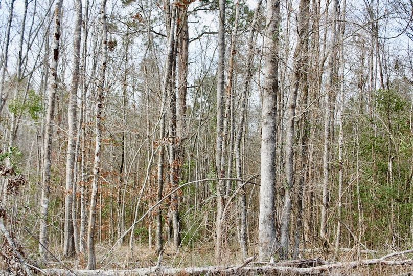 4E88863C-F408-498A-AD00-C538BB51B764_1_201_a