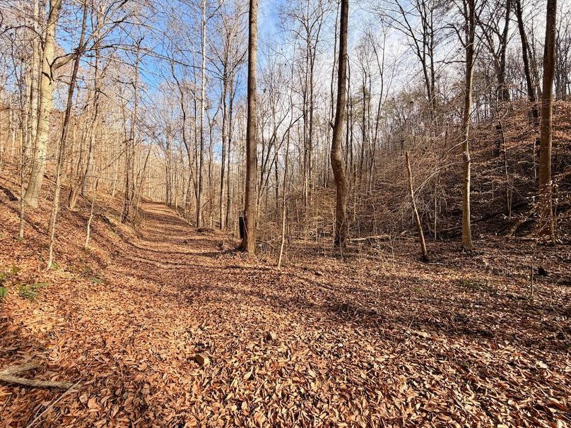 Roane Co TN 396 20251127_15