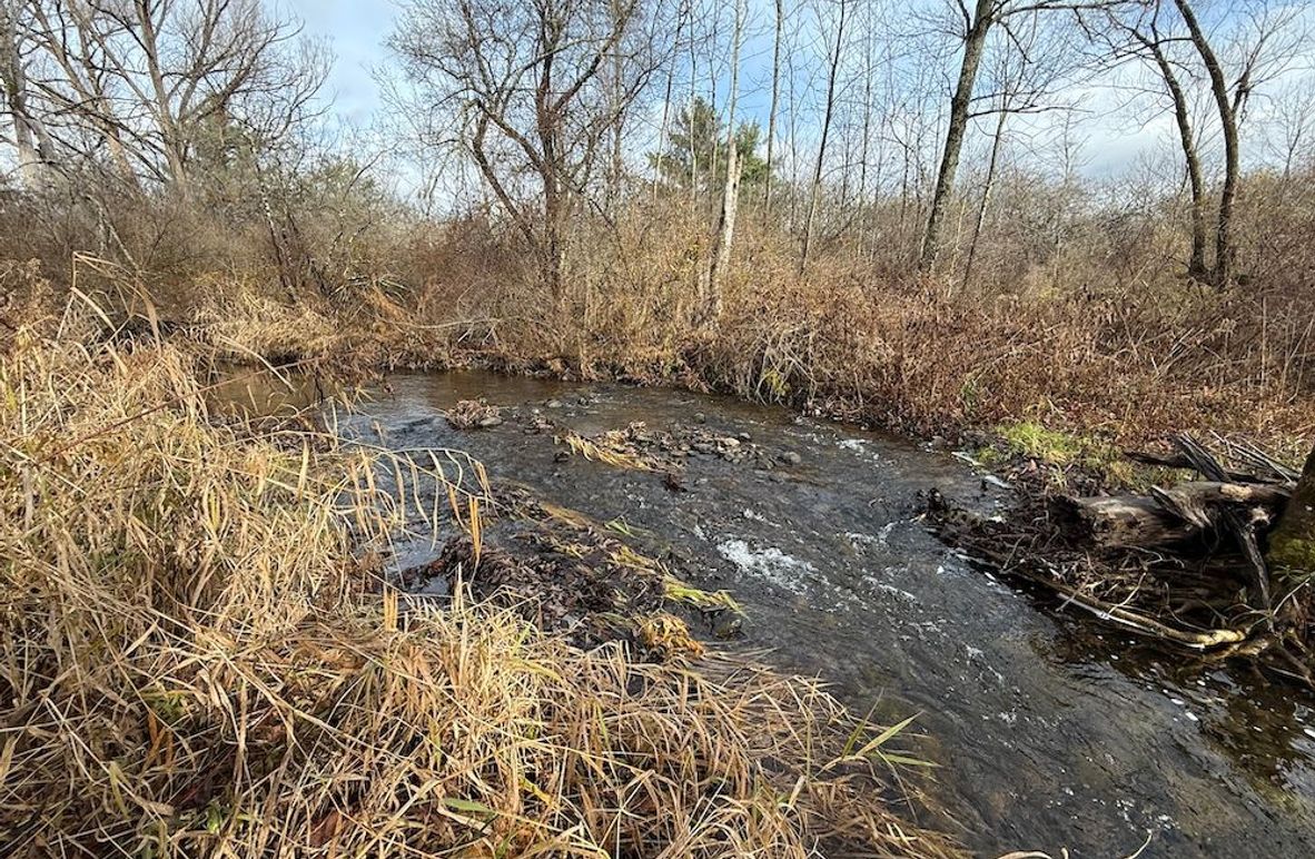 Tompkins_15.15_Galarza Photo 4