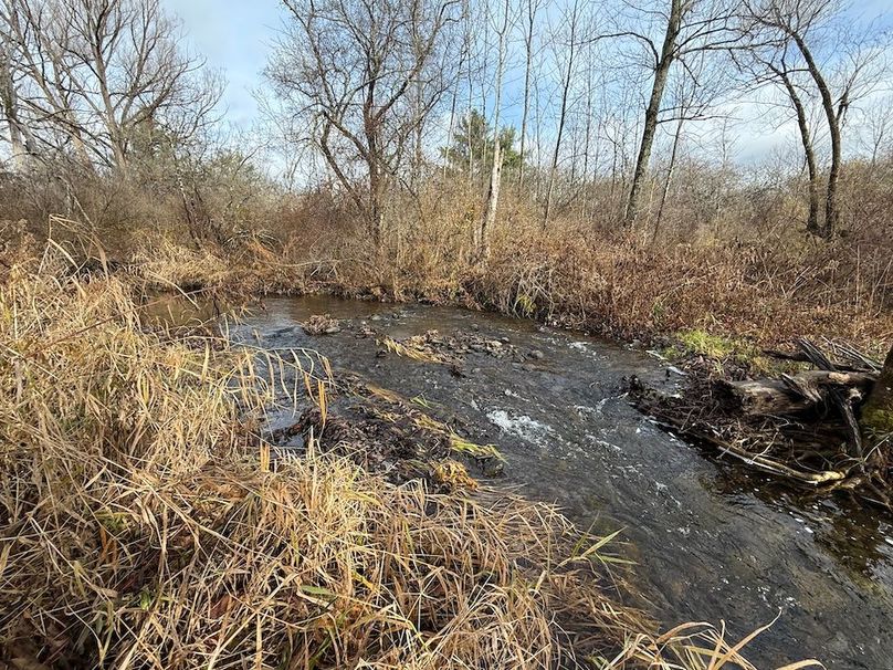 Tompkins_15.15_Galarza Photo 4