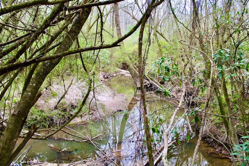 95194BB9-1A86-4F59-8E51-41E27D1E1620_1_105_c