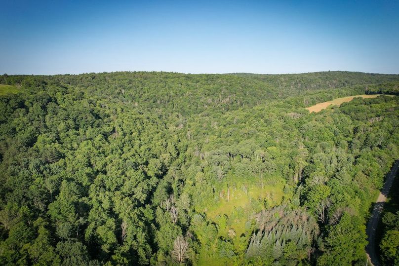 Tioga_82.5_Williams_Photos_10