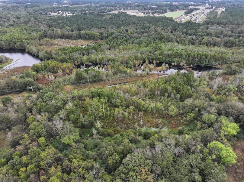 DJI_20251015091703_0136_D