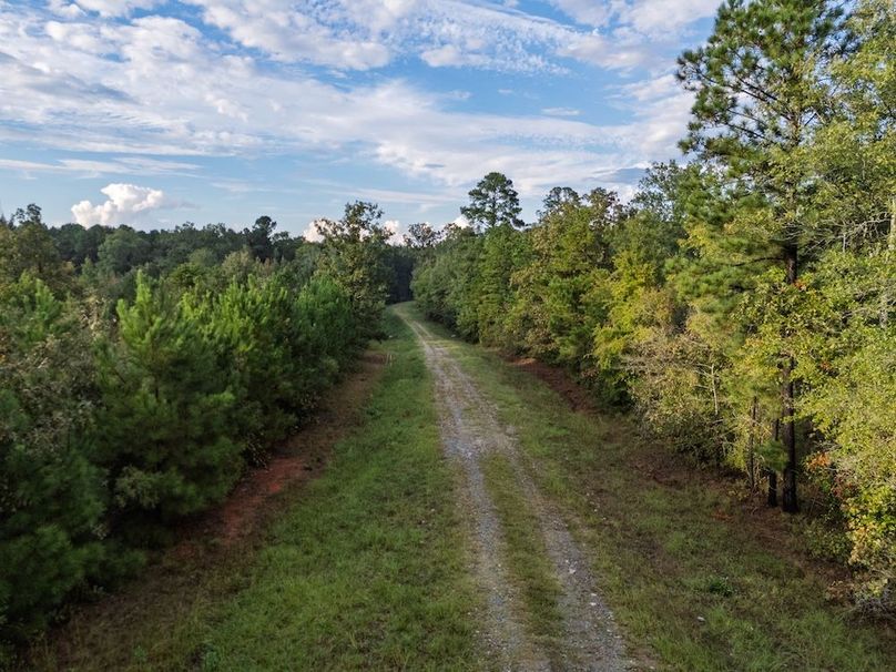 23 Edited Harison co. 206 - Ed Robb-099