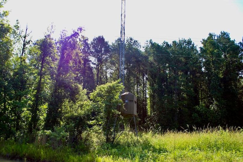 0AB4FA73-99F9-48C9-B302-0F825C921B8B_1_201_a