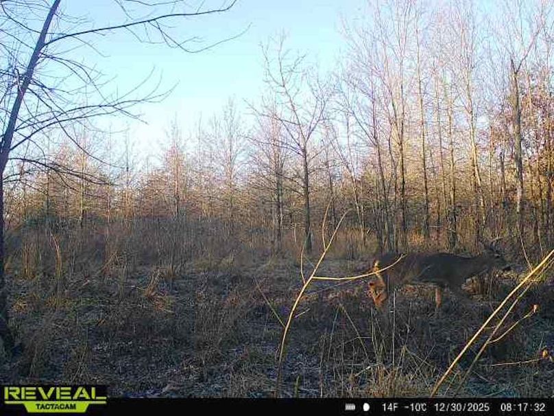 864049051945600-100-1-12302025081732-W1000302